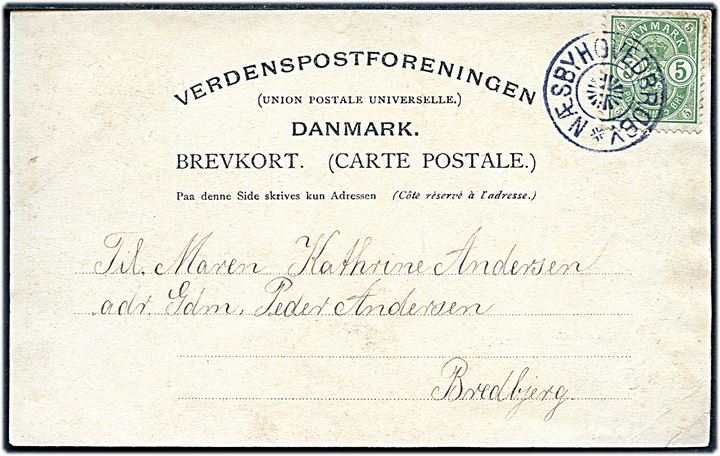 5 øre Våben på brevkort annulleret med stjernestempel NÆSBYHOVEDBROBY til Bredbjerg.