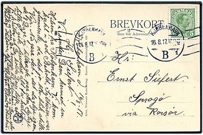 5 øre Chr. X på brevkort fra Kjøbenhavn d. 16.8.1917 til Sprogø pr. Korsør. 