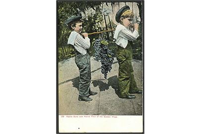 Drenge med en vindrueklase fra Golden West, Californien, USA. C. Weidner no. 189.