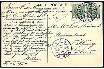 5 øre Fr. VIII i parstykke på brevkort fra Kjøbenhavn d. 28.8.1910 til Tilburg, Holland.