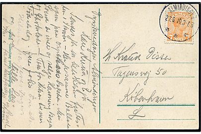 7 øre Chr. X på brevkort annulleret med brotype IIIb Almindingen d. 27.6.1919 til København.