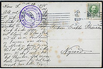 5 øre Fr. VIII på brevkort (Udstillede isbjørne) fra Kjøbenhavn d. 12.12.1908 til Nyraad. Violet sidestempel: UDSTILLINGEN FRA DANMARK-EXPEDITIONEN / DCBR 1908.
