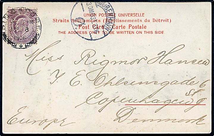 3 cents Edward VIII med perfin E.A.C. (= East Asiatic Company - Østasiatisk Kompagni) på brevkort (Rikisha mand) fra Singapore d. 8.3.1906 til København, Danmark.