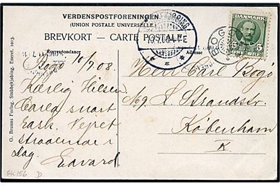 5 øre Fr. VIII på brevkort (Bogø, parti fra Skoven) annulleret med stjernestempel BOGØ og sidestemplet Stubbekjøbing d. 10.7.1908 til København.