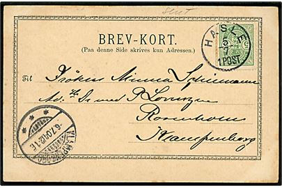 5 øre Våben på brevkort (Raadhus i Hasle) annulleret med lapidar Hasle d. 5.7.1904 til Klampenborg.