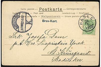 5 øre Våben på brevkort annulleret med lapidar Hasle d. 24.5.1902 til Bodilsker. Fejlsendt med transit stempel Kjøbenhavn K. d. 25.5.1902 0.OMB. 