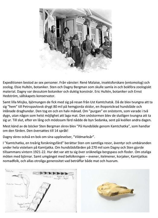 25 öre Gustaf på brevkort fra Stockholm d. 27.2.1922 til Dagny Bergman, Swedish Kamtschatka Expedition, Petropawlowsk, Kamtschatka, Rusland. Påskrevet via Amerika og på russisk Svensk Ekspedition. Ank.stemplet i Petropavlovsk d. 12.6.1922. Et sjældent indgående brevkort til en næsten ukendt 6 mand store svensk polar ekspedition til Kamtjatka i 1920-23. Lederen Sten Bergman og hustru Dagny startede ekspeditionen med at lide skibbrud med det russiske dampskib S/S Kommandor Bering d. 14.6.1920 ved Kap Lopatka, hvor alle 53 ombordværende overlevede, men store dele af ekspeditionens udrustning gik tabt.
