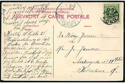 5 øre Chr. IX på brevkort (Silkeborg, udsigt fra Aasen) annulleret med stjernestempel MOSELUND til København. Ank.stemplet Kjøbenhavn Ø d. 24.4.1906