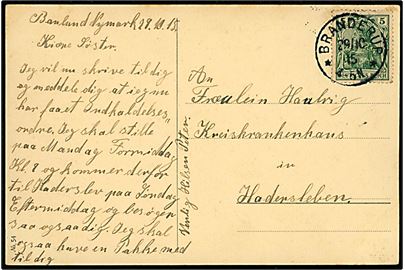 5 pfg. Germania på brevkort annulleret Branderup d. 29.10.1915 til Haderslev. Interessant meddelelse fra Peter: ...meddele dig at jeg nu har faaet Indkaldelsesordre. Jeg skal stille på Mandag Formiddag Kl. 9....