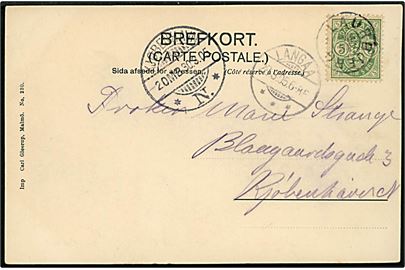 5 øre Våben på brevkort annulleret med stjernestempel LAURBJERG og sidestemplet Langaa d. 29.3.1905 til København.