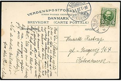 5 øre Fr. VIII på brevkort (Marielyst Østersøbad) annulleret med stjernestempel TINGSTED og sidestemplet bureau Kjøbenhavn - Nykjøbing F. T.90 d. 3.1.1908 til København.