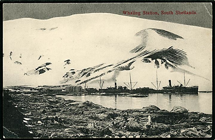 South Shetlands Whaling Station med dampskibe. U/no. Lille hj.knæk.