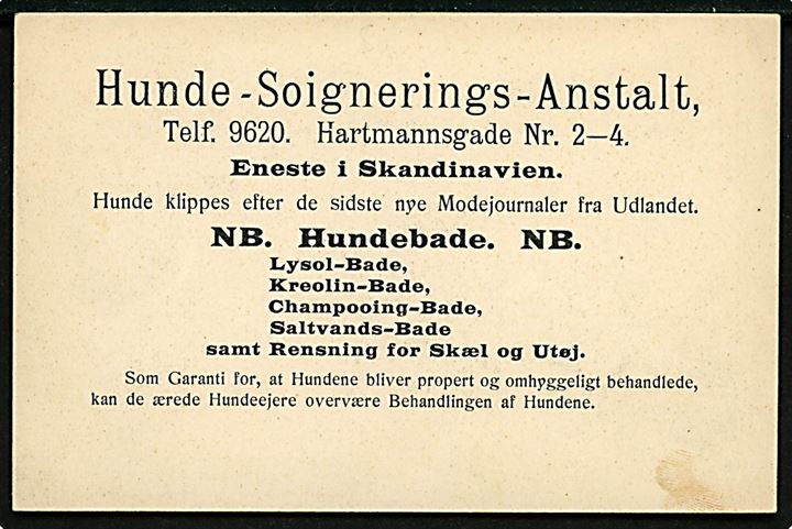 Hartsmansgade 2-4 (nuv. Sommerstedgade 2-4) med Hunde-Soinerings-Anstalt. Reklamekort med tiltryk u/no. Kvalitet 9