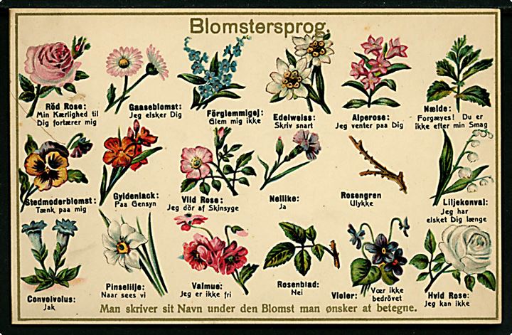 Sprog. Blomstersprog. Reliefkort V. Müllers Kunstforlag. Kvalitet 9