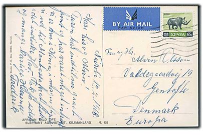 Kenya 65 c. Næsehorn single på luftpost brevkort fra Nairobi d. 12.2.1968 til Gentofte, Danmark.
