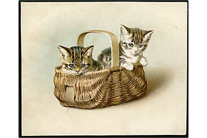 2 kattekillinger i kurv. Dateret 1892. 