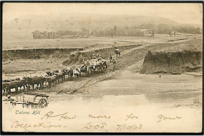 Cape Province, Talana Hill med militærtransport. frankeret ½d i parstykke stemplet Alexandria d. 7.10.1903 til Scotland.