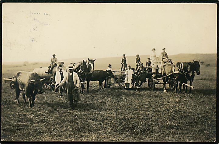 Tybrind ved Ejby, markarbejde med hestevogne. Fotokort sendt fra Ejby.