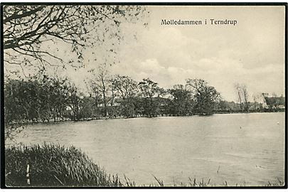 Terndrup, Mølledammen. L. Christensen no. 496.
