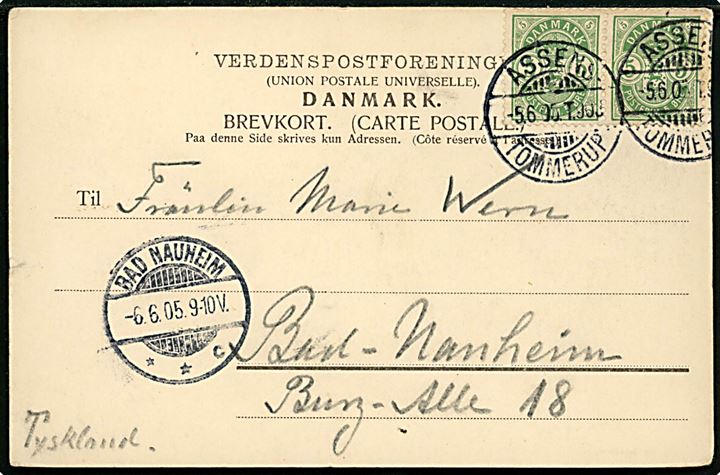 5 øre Våben i parstykke på brevkort fra Assens annulleret med bureaustempel Assens - Tommerup T.903 d. 5.6.1905 til Bad Nauheim, Tyskland.