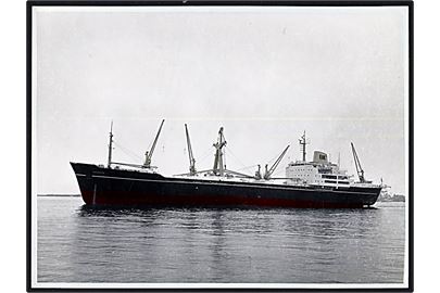 Aranya, M/S, Østasiatisk Kompagni. Farvelagt fotografi 18x24 cm. Fotograf Torp, Rødovre.