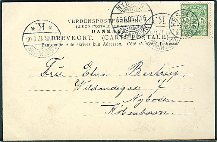 5 øre Våben på brevkort annulleret med stjernestempel HESSELAGER og sidestemplet Nyborg - Svendborg T.26 d. 16.8.1905 til København.