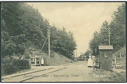 Tog ved Jernbaneleddet i Hannerup Skov, Fredericia. U/no.