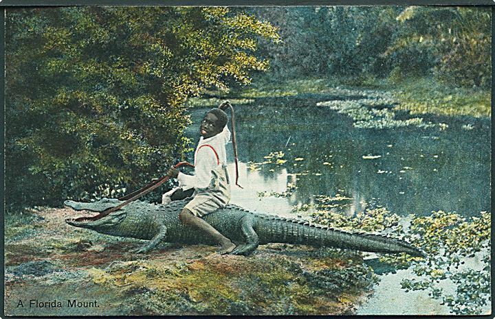 Negerdreng på alligator. A Florida Mount. Leighton no. 28280.