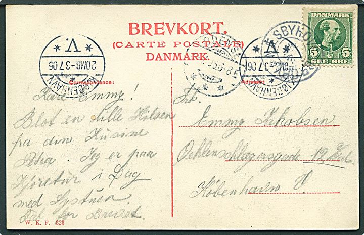 5 øre Chr. IX på brevkort annulleret med stjernestempel NÆSBYHOVEDBROBY og sidestemplet Odense d. 2.7.1906 til København.