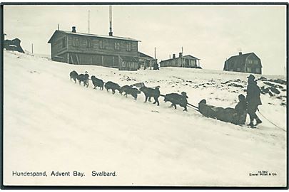 Svalbard, Hundespand ved Advent Bay. Mittet & Co. no. 18/30.