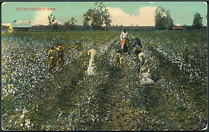 Cotton pickers at work, Dansk Vestindien. T. P. & Co. N. Y., series 836-8. 