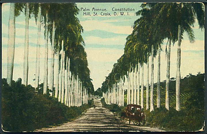 Palm Avenue. Constitution Hill. St. Croix, Dansk Vestindien. U/no. 