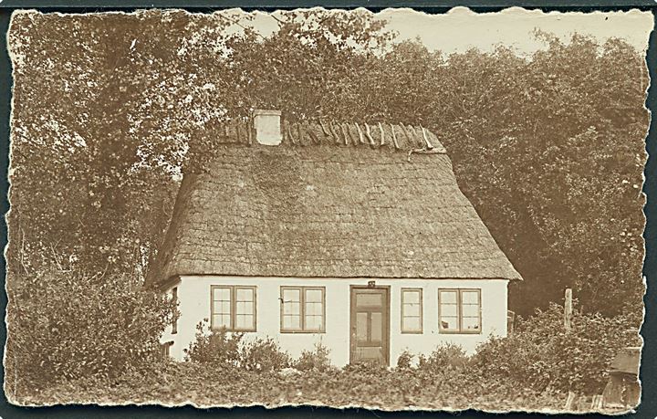Hus ved Rønshoved. Leonar no. 0329. Max Noelsen no. 54. Fotokort. 