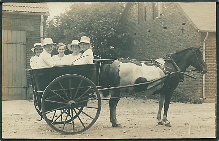 5 Kvinder i hestetrukket vogn. Sted ukendt. Fotokort u/no. 