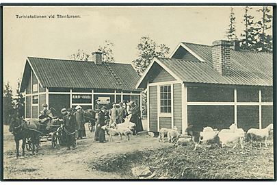 Tännfosen Turiststation. N. Thomasson no. 78.