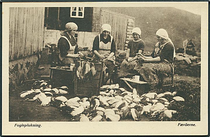 Fugleplukning, Færøerne. Johs. Fjallheim no. 31. 