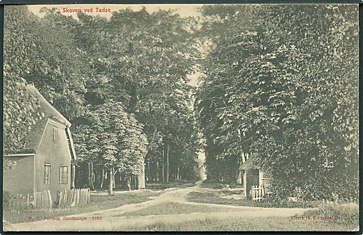 Skoven ved Tadse. P. U. Poulsen Skadhauge no. 3868. 