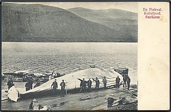 Kollefjord, hvalstation med finhval. A. Brend u/no. Kvalitet 7