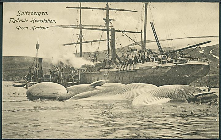 Svalbard. Green Harbour med flydende hvalstation og hvaler. O. Svanöe no. 475. Kvalitet 9