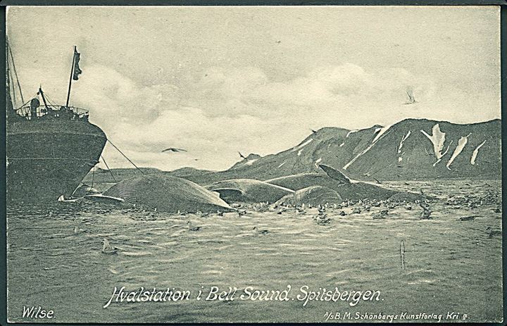 Svalbard. Bell Sound med hvalstation og hvaler. B. M. Schönberg no. 1713. Kvalitet 8