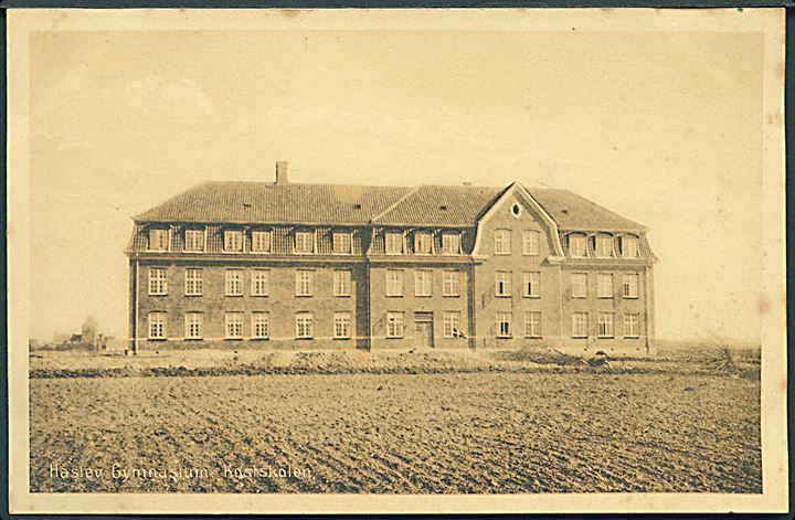 Haslev Gymnasium, Kostskolen. R. Torkildsens Boghandel no. 38556. 