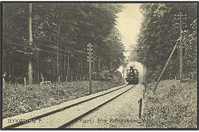 Lokomotiv paa vej gennem Kohaveskoven ved Nykøbing F. Stenders no. 12444.