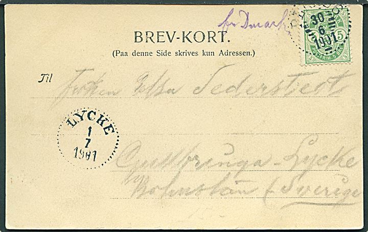 5 øre Våben på brevkort fra Kjøbenhavn annulleret med svensk bureaustempel PLK 156 d. 30.6.1901 til Lycke, Sverige. Påskrevet Fr. Dmark i mangel af skibsstempel i bureauet PKL mellem Helsingborg og Ängelholm. 