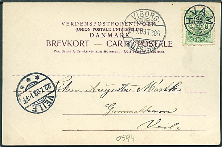 5 øre Våben på brevkort annulleret med stjernestempel HVAM og sidestemplet bureau Viborg - Aalestrup T.386 d. 21.7.1903 til Vejle.