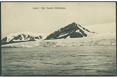 Svalbard. Isbræ i Bell Sound, Spitsbergen. No. 4