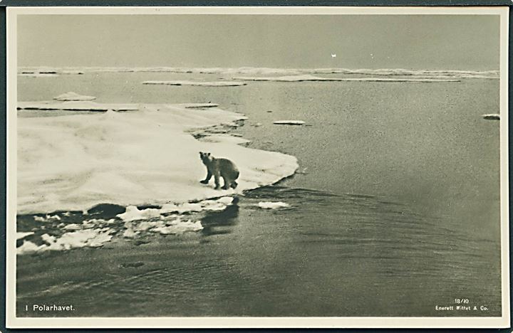 Svalbard. Isbjørn i Polarhavet. Mittet & Co. no. 18/10.