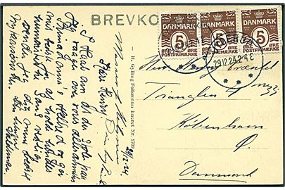 5 øre Bølgelinie (3) på brevkort (Hotel Skarridse) annulleret med brotype IIIb Jyderup d. 29.12.1924 til København.