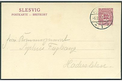 15 pfg. Fælles udg. helsagsbrevkort fra Flensburg d. 6.2.1920 til Haderslev.