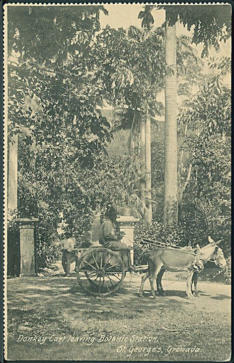 Donkey Cart leaving Botanic Station, St. George's, Grenada. No. 136/16. 