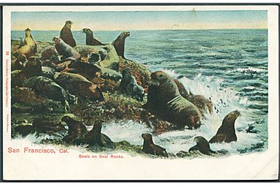 Seals on Seal Rocks, San Francisco, Cal. Charles Weidner no. 39. Uden adresselinier. 